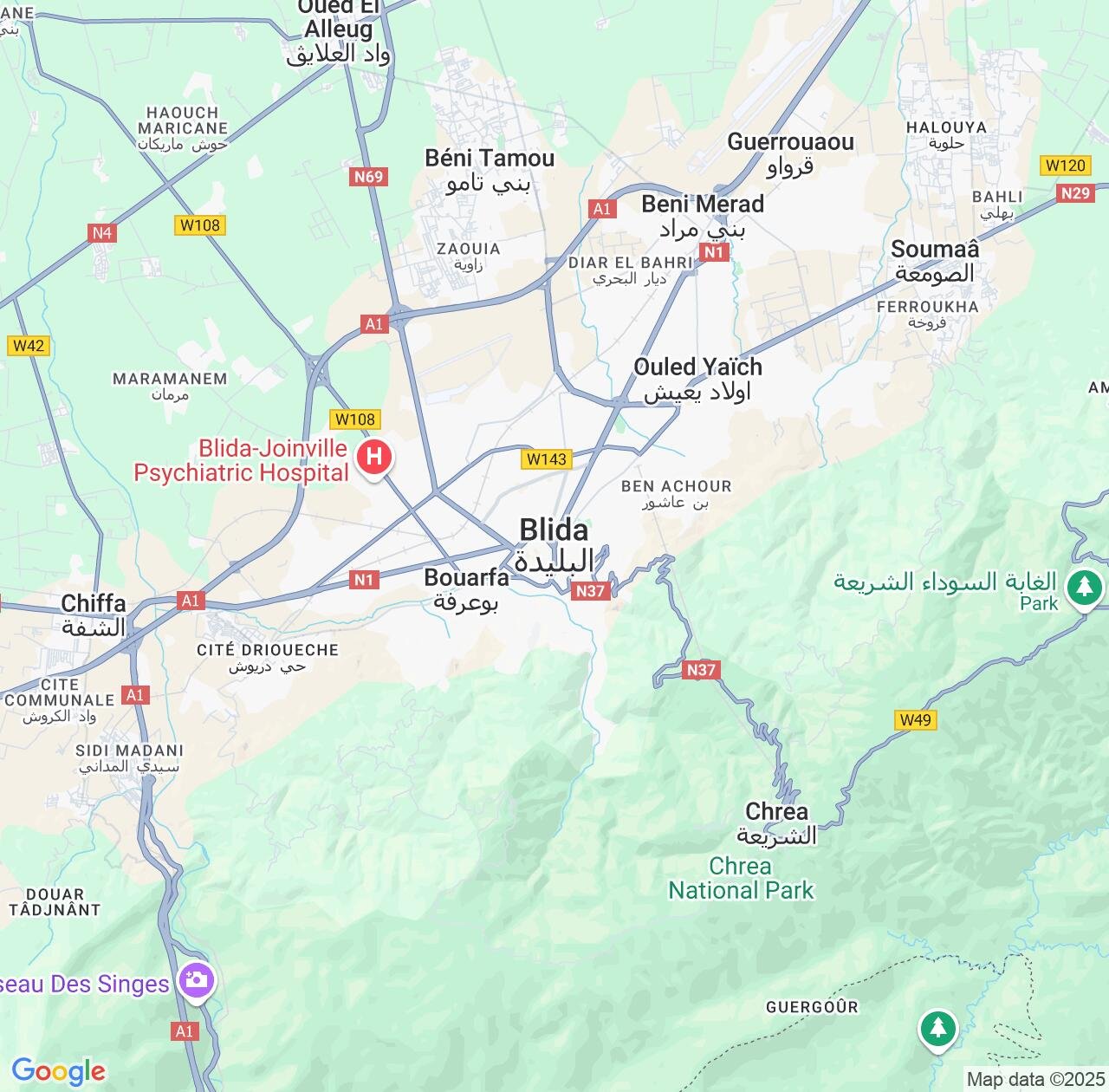 Map image for Intellectual Property Lawyers in Blida and Algeria IP firms at coordinates  ; .