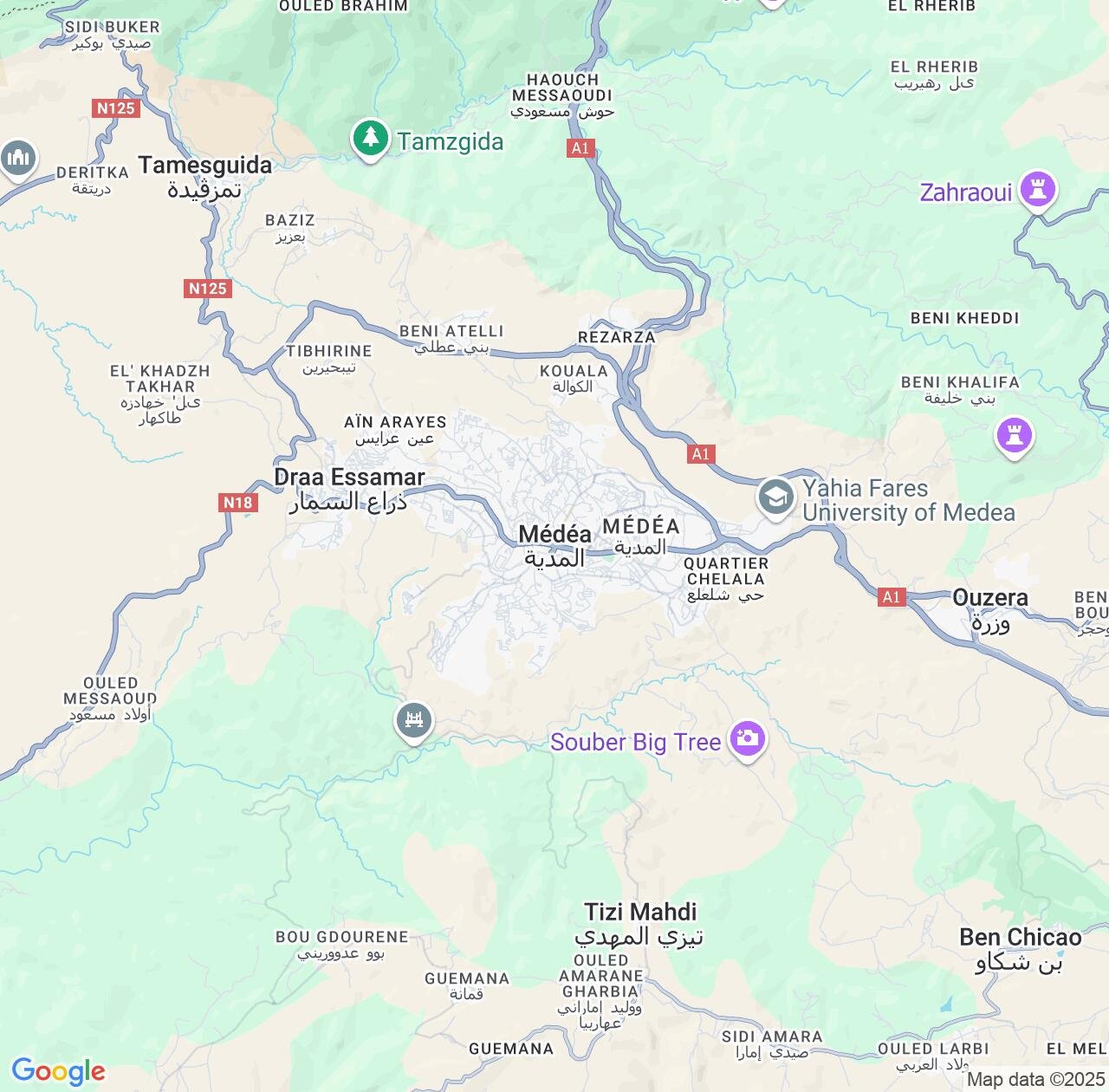 Map image for Intellectual Property Lawyers in Medea and Algeria IP firms at coordinates  ; .