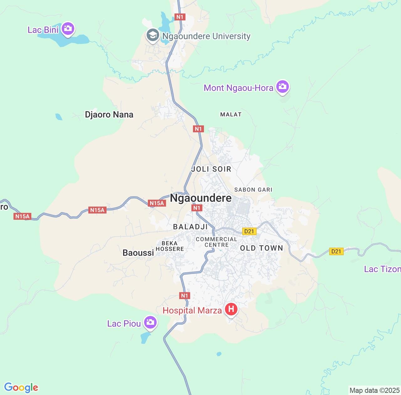Map image for Intellectual Property Lawyers in Ngaoundere and Adamaoua IP firms at coordinates  ; .