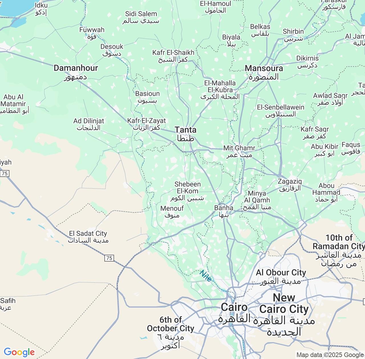 Map image for Intellectual Property Lawyers in Monufia and Egypt IP firms at coordinates  ; .