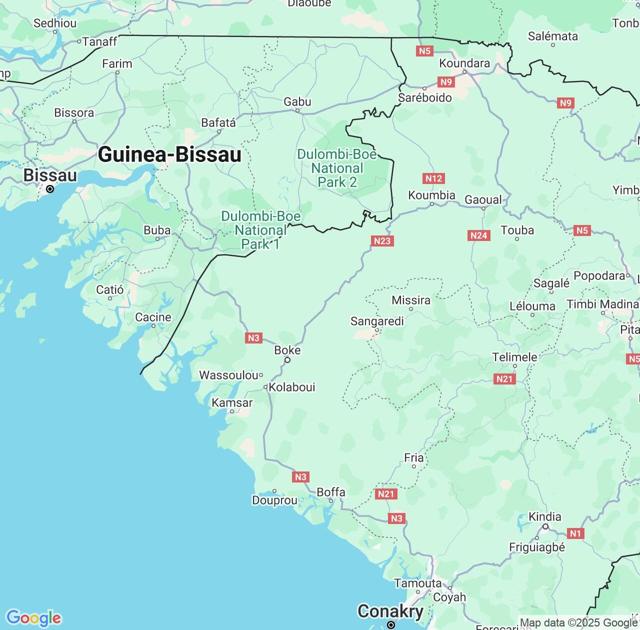 Map image for Intellectual Property Lawyers in Boké Region and Guinea IP firms at coordinates  ; .