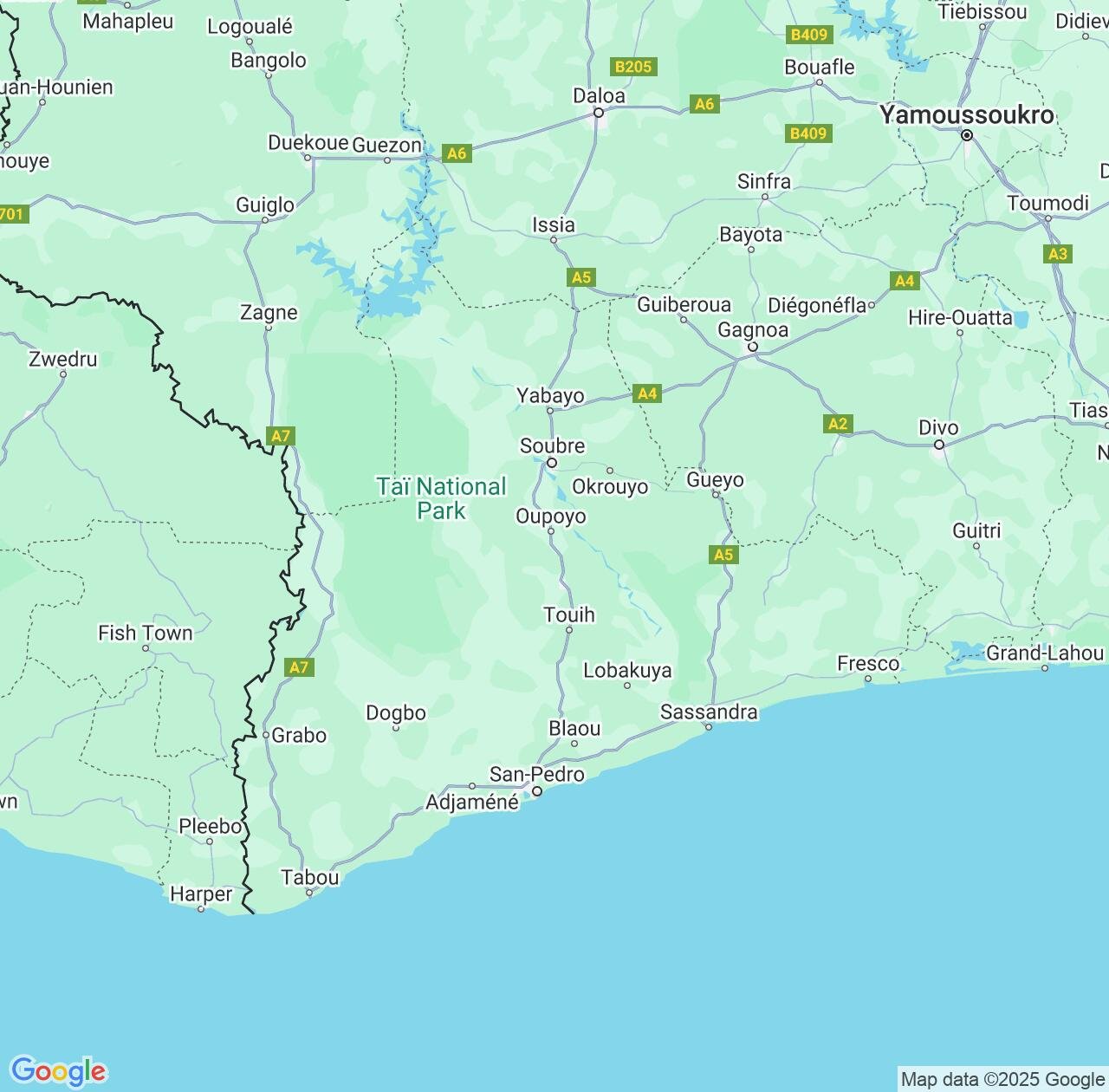 Map image for Intellectual Property Lawyers in Bas-Sassandra District and Cote D'Ivoire (Ivory Coast) IP firms at coordinates  ; .