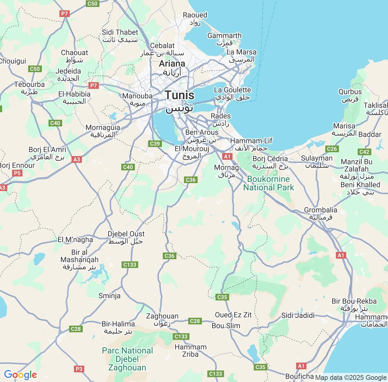 Map image for Intellectual Property Lawyers in Ben Arous Governorate and Tunisia IP firms at coordinates  ; .