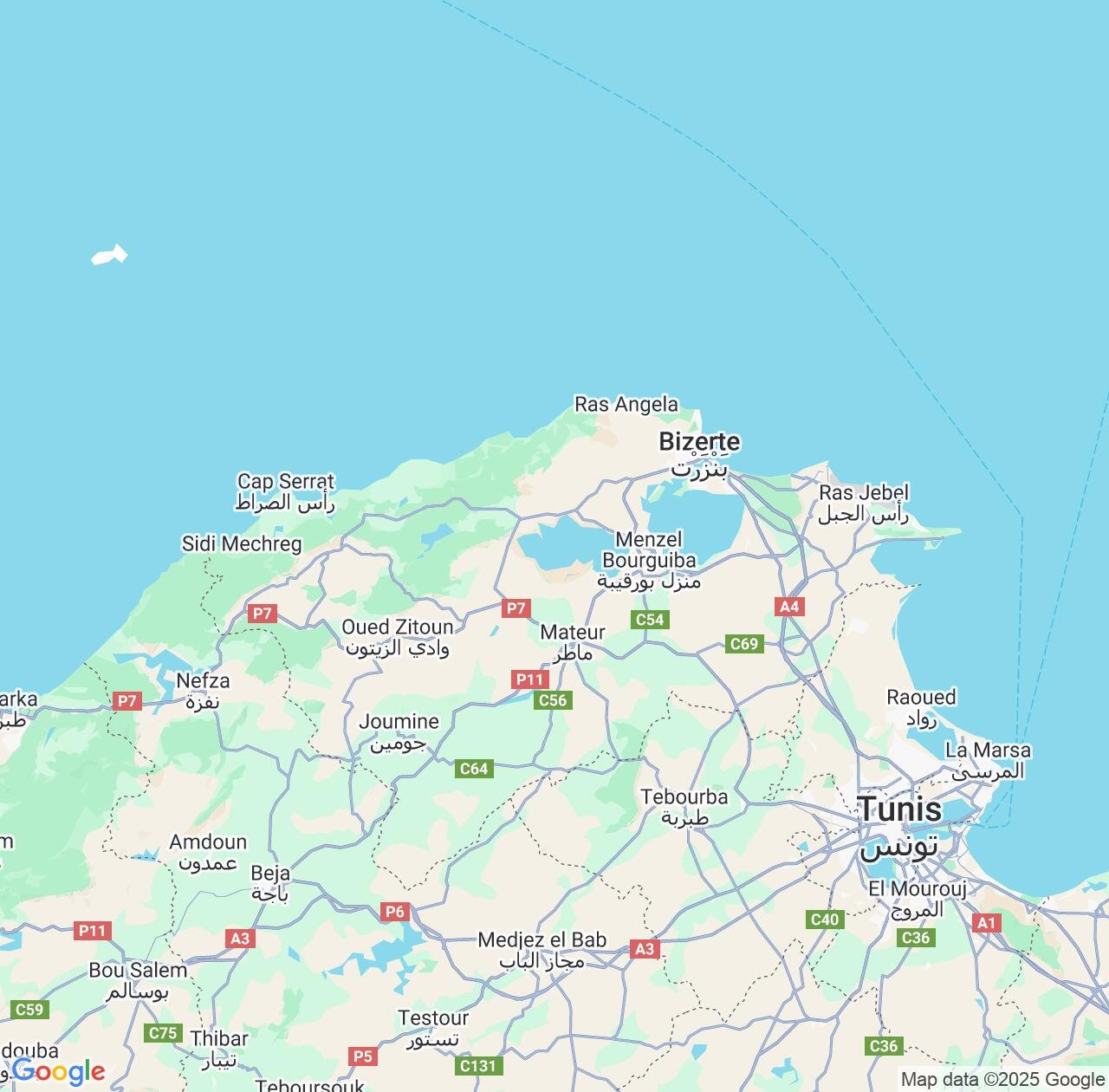 Map image for Intellectual Property Lawyers in Bizerte Governorate and Tunisia IP firms at coordinates  ; .