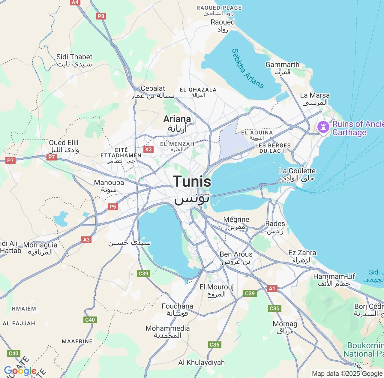 Map image for Intellectual Property Lawyers in Tunis and Tunis Governorate IP firms at coordinates  ; .