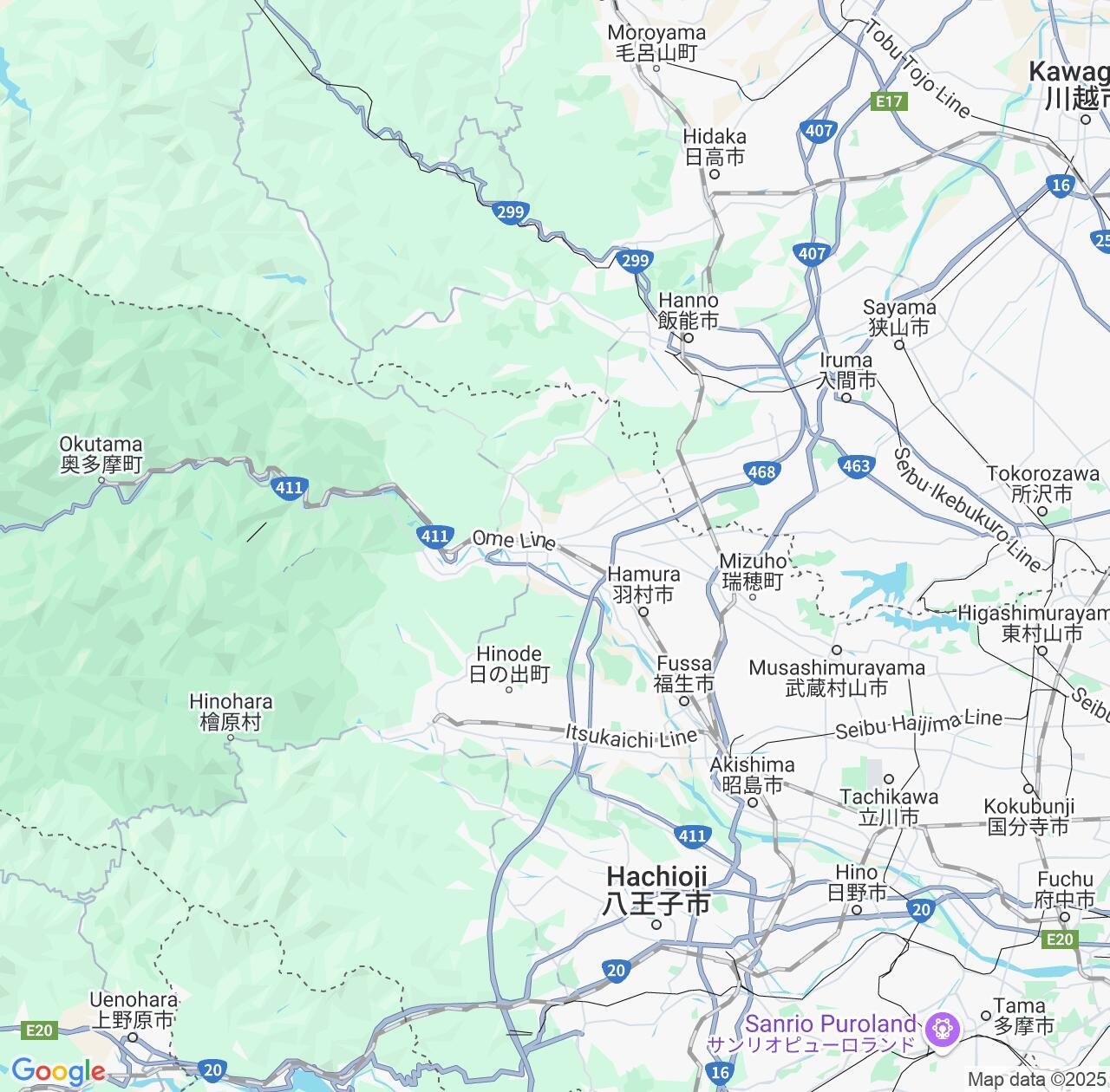 Map image for Intellectual Property Lawyers in Ome and Tokyo IP firms at coordinates  ; .