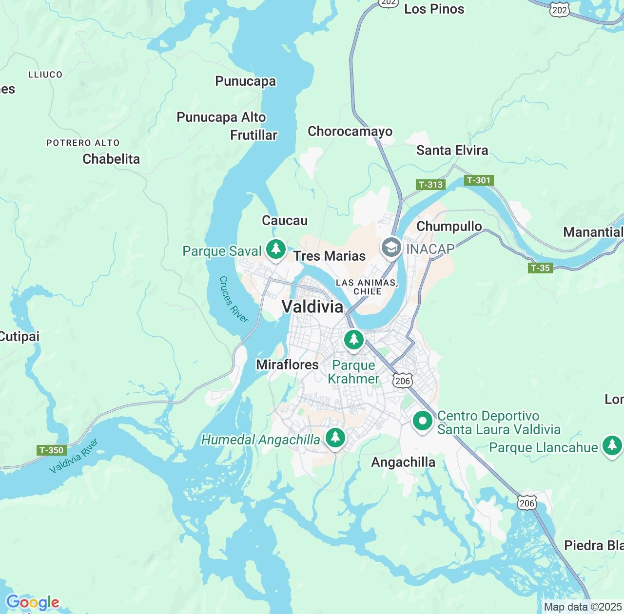 Map image for Intellectual Property Lawyers in Valdivia and Los Ríos Region IP firms at coordinates  ; .