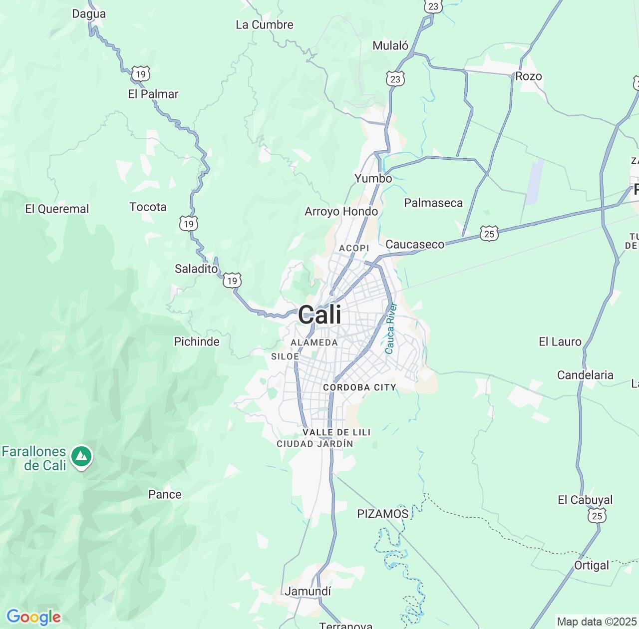 Map image for Intellectual Property Lawyers in Cali and Valle del Cauca Department IP firms at coordinates  ; .