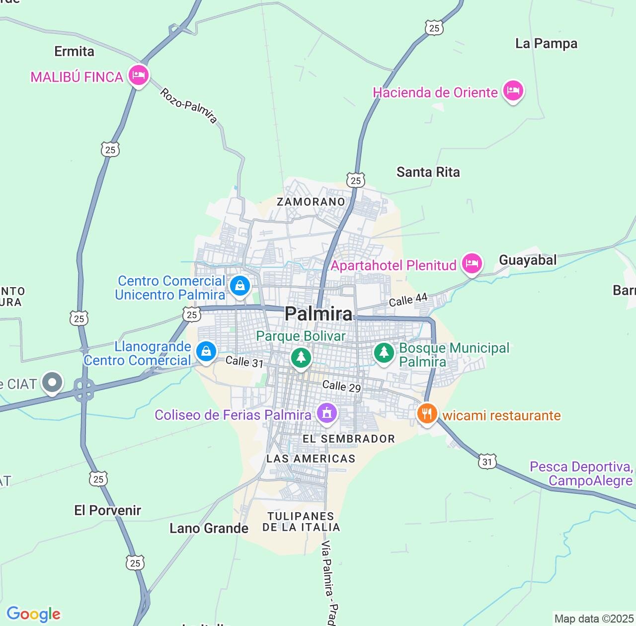 Map image for Intellectual Property Lawyers in Palmira and Valle del Cauca Department IP firms at coordinates  ; .