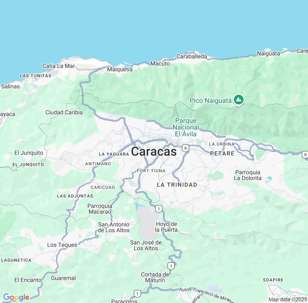 Map image for Intellectual Property Lawyers in Caracas and Distrito Federal IP firms at coordinates  ; .